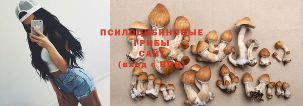 гидра Абинск