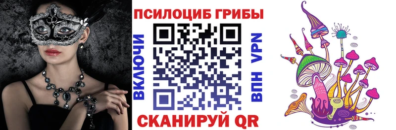 мега как войти  Агидель  Псилоцибиновые грибы Psilocybe 